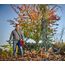 Einhell Akku-Laubbläser GE-LB 36/210 Li E Power X-Change (Li-Ion, 36 V, 816m³/h Blasleistung, Turboschalter, 3-stufiges + abnehmbares Rohr, inkl. 2x3 Ah Akku und Twincharger)