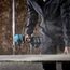 Makita AS001GZ Akku-Gebläse 40V max. (ohne Akkus, ohne Ladegerät)
