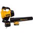 Dewalt dcm562pb-gb 18 V Li-Ion XR Brushless schnurlose Gebläse – Bare Einheit