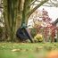 Bosch Home and Garden 06008B1070 UniversalGardenTidy