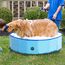 Jolitac Faltbarer Hundepool Swimmingpool Hunde Katze Doggy Pet Pool Haustierpool Badewanne Schwimmbecken Haustier Planschbecken mit Ablassventil (Small 80 x 20 cm)