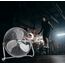 Senelux Bodenventilator - Chrome Gym Fan - 50,8 cm elektrischer tragbarer Lüfter für den Heim-/Fitnessraum-/Bürogebrauch – 3 Geschwindigkeitsstufen mit Neigungsfunktion