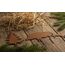 LB H&F 5er Set ROSTSTECKER Wilschwein Familie Herbstdeko Gartendeko Deko Dekoration Dekofigur Herbst Winter Metall Rost (Wildschwein Set)