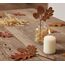 LB H&F 2er Set Eichel Herbstdeko Ahorn Gartendeko Weihnachtsdeko Deko Dekoration Herbst Winter Weihnachten Metall Rost Gartenstecker (Herbststecker Eichel 2er Set)