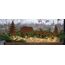 LB H&F 5er Set ROSTSTECKER Wilschwein Familie Herbstdeko Gartendeko Deko Dekoration Dekofigur Herbst Winter Metall Rost (Wildschwein Set)