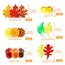 Kesote Herbst Deko Streudeko Kürbis Tischdeko Schmuck Thanksgiving Miniatur Klein Figur Ahornblatt Acryl Mini Zubehör Erntedankfest zum Basteln Halloween (90 PCS)