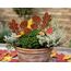 LB H&F 2er Set Eichel Herbstdeko Ahorn Gartendeko Weihnachtsdeko Deko Dekoration Herbst Winter Weihnachten Metall Rost Gartenstecker (Herbststecker Eichel 2er Set)