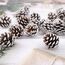 ENLACE 30 Stück Tannenzapfen, ca. 2-3cm, Klein Weihnachten Tannenzapfen mit Weißer Anstrich, Natur Kiefernzapfen Deko für Weihnachtsdeko DIY Handwerk Weihnachtsbaum Herbst Winter Dekoration