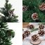 ENLACE 30 Stück Tannenzapfen, ca. 2-3cm, Klein Weihnachten Tannenzapfen mit Weißer Anstrich, Natur Kiefernzapfen Deko für Weihnachtsdeko DIY Handwerk Weihnachtsbaum Herbst Winter Dekoration