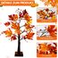 ACAREY Herbstdeko Ahornblatt Baum Lichter, 61cm Herbst Dekoration Lichterbaum Für Innen mit Timer, Herbst Deko Lichterbaum Herbstblätter Kürbis Deko Für Tisch Halloween Herbstdeko Zum Aufhängen