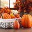 Benjia Kürbis Herbst Deko Dekoration Draußen, Groß Mini Orange Kürbisse Zierkürbisse Herbstdeko Herbstdekorationen Halloween (Orange, 16 Stück)