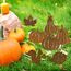 BOFUNX 4 Stück Rost Gartenstecker Herbst Kürbis Gartendeko Metall Rost Ahornblatt Deko