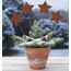 LB H&F Lilienburg 4er Set Gartenstecker rost Sterne Winterdeko Roststern Weihnachtsdeko edelrost deko Weihnachten Dekoration Weihnachtsdeko Stern Metall (4ER Set Sterne)