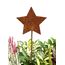 LB H&F Lilienburg 4er Set Gartenstecker rost Sterne Winterdeko Roststern Weihnachtsdeko edelrost deko Weihnachten Dekoration Weihnachtsdeko Stern Metall (4ER Set Sterne)