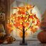 Künstlicher Herbst beleuchteter Ahornbaum 24 LED Kürbislichter Halloween Thanksgiving Dekorationen Tischlichter Batteriebetrieben fürDekoration Hochzeit Party Geschenke Indoor Outdoor Ernte Home Decor