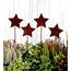 LB H&F Lilienburg 4er Set Gartenstecker rost Sterne Winterdeko Roststern Weihnachtsdeko edelrost deko Weihnachten Dekoration Weihnachtsdeko Stern Metall (4ER Set Sterne)