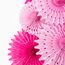 SUNBEAUTY 12er Set Papier Fächer Dekoration Papierrosetten Kit Party Feier Deko (Pink / Rosa)