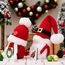 ACAREY Weihnachtsdeko Wichtel, 2 Stück Weihnachten Deko Wichtel Strickmütze mit Bommeln, Weihnachtsdeko Innen Weihnachtsdeko Amerikanisch Wichtel, Weihnachten Wichtel Set für Weihnachts Fenster