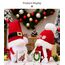 ACAREY Weihnachtsdeko Wichtel, 2 Stück Weihnachten Deko Wichtel Strickmütze mit Bommeln, Weihnachtsdeko Innen Weihnachtsdeko Amerikanisch Wichtel, Weihnachten Wichtel Set für Weihnachts Fenster