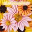 SUNBEAUTY 9 Stück Sonnenblumen Papierfächer Rosa Party Dekoration Seidenpapier Fächer Orange Hängende Girlande für Geburtstag Hochzeit Tischdeko Abschluss Party Deko