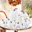 Benjia Kürbis Herbst Deko Dekoration Draußen, Groß Mini Weiß Kürbisse Zierkürbisse Herbstdeko Herbstdekorationen Halloween 16 Stück