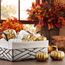 Benjia Kürbis Herbst Deko Dekoration Draußen, Weiß und Gold Kürbisse Zierkürbisse Herbstdeko Herbstdekorationen Halloween 16 Stück