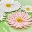 SUNBEAUTY 7 Stück 3D Weiß-Rosa Gänseblümchen Wanddeko,Papier Blumen Deko Künstliche Blumen für Muttertag Wohnzimmer Wanddekoration Schlafzimmer Innen Frühling Deko,Kinderzimmer Deko