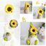 ENLACE Frühling Sonnenblume Biene Wichtel, Handgefertigte Gefüllte Gesichtslose Puppe Zwerg Dekorationen Frühlingsdeko, Sonnenblume Deko für Home Farmhouse Kitchen Decor, 2 Stück