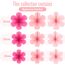 SUNBEAUTY 9 Stück Papier Fächer Dekoration Papierblumen zum Aufhängen Rosa Blumen Papier Party Deko Set für Hochzeit Geburtstagsdeko Tischdeko Baby Shower Frühling Sommer Deko