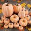Benjia 16 Stück Künstlicher Kürbis Herbstdekoration, Künstliche Kürbisse Gefälschte Kürbisse Zierkürbisse für Innen Außen Herbst Ernte Halloween Erntedankfest Dekoration (Terrakotta)