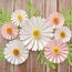 SUNBEAUTY 7 Stück 3D Weiß-Rosa Gänseblümchen Wanddeko,Papier Blumen Deko Künstliche Blumen für Muttertag Wohnzimmer Wanddekoration Schlafzimmer Innen Frühling Deko,Kinderzimmer Deko