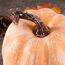 Benjia 16 Stück Künstlicher Kürbis Herbstdekoration, Künstliche Kürbisse Gefälschte Kürbisse Zierkürbisse für Innen Außen Herbst Ernte Halloween Erntedankfest Dekoration (Terrakotta)
