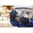 Mechanix Wear - Winter FastFit Insulated Handschuhe (Small, Schwarz)