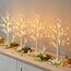EAMBRITE Lichterbaum Lichterzweige für Innen 24 Warmweiß LEDs Bäumchen Birken Dekozweige Batteriebetrieb Weihnachtsdeko für Zuhause Party Geburtstag Hochzeit Innendekoration (60cm/2ft)