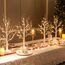 EAMBRITE Lichterbaum Lichterzweige für Innen 24 Warmweiß LEDs Bäumchen Birken Dekozweige Batteriebetrieb Weihnachtsdeko für Zuhause Party Geburtstag Hochzeit Innendekoration (60cm/2ft)