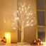 EAMBRITE Lichterbaum Lichterzweige für Innen 24 Warmweiß LEDs Bäumchen Birken Dekozweige Batteriebetrieb Weihnachtsdeko für Zuhause Party Geburtstag Hochzeit Innendekoration (60cm/2ft)