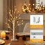 EAMBRITE 2er Set Lichterbaum Lichterzweige für Innen 24 Warmweiß LEDs Bäumchen Birken Dekozweige Batteriebetrieb Weihnachtsdeko für Zuhause Party Geburtstag Hochzeit Innendekoration (60cm/2ft)