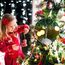 Naler 120 Kugelaufhänger S Haken Klein Schnellaufhänger für Weihnachtskugel Silber