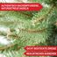Wolkenland Künstlicher Weihnachtsbaum 180cm, in Premium Qualität - Mit Aufbewahrungstasche und Holzständer – Naturgetreu und mit dicht bestückten Zweigen – Künstliche Weihnachtsbäume
