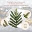 Premium Weihnachtsbaum künstlich 90cm - TESTSIEGER 10 Jahre GARANTIE - Naturgetreu, dichte Zweige, Künstlicher Weihnachtsbaum mit Holzständer, Christmas Tree Tannenbaum künstlich 90 cm Pure Living