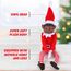 Elves Behavin Badly 30,5 cm große Elfe in Farbe mit Vinyl-Gesicht und weichem Körper – Weihnachtselfe (schwarzer Elf)