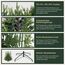 SALCAR Künstlicher Weihnachtsbaum 210 cm, Naturgetreuer Tannenbaum Künstlich mit Klapp-Schirmsystem, PVC und PE Weihnachts Baum, Metall Christbaum Ständer