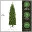 National Tree Company Kingswood Künstlicher Weihnachtsbaum mit Ständer, 2,1 m, Grün