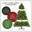 National Tree Company Kingswood Künstlicher Weihnachtsbaum mit Ständer, 2,1 m, Grün