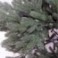 RS Trade 1418 Premium Nordmanntanne 100% Spritzguss 210 cm Weihnachtsbaum künstlich (Ø ca. 132 cm) mit ca. 4850 Spitzen, schwer entflammbar, Schnellaufbau Klappsystem, inkl. Christbaum Ständer
