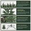 SALCAR 2,1 m Künstlicher Weihnachtsbaum mit naturgetreuen Spritzguss-Elementen, Schnellaufbau durch Klapp-Schirmsystem, 210 cm künstlicher Tannenbaum (Durchmesser ca. 150 cm, extra groß)