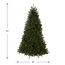 National Tree Company Künstlicher Weihnachtsbaum | inkl. Ständer | Dunhill Tanne – 1,8 m