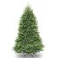 National Tree Company Künstlicher Weihnachtsbaum | inkl. Ständer | Dunhill Tanne – 1,8 m
