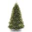 National Tree Company Künstlicher Weihnachtsbaum, grün, Dunhill-Tanne, inklusive Ständer, 2,4 m