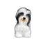 Old World Christmas Christbaumschmuck: Hunde-Kollektion, Glasornamente für Weihnachtsbaum Havaneser 3.25 x 3.25 Havanese